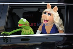 Premiera filmu Muppets Most Wanted