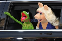 Premiera filmu Muppets Most Wanted