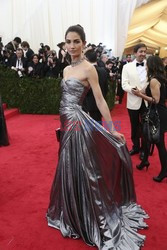 Gala Costume Institute - NYT