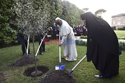 Spotkanie papieża Franciszka z Szimonem Peresem i Mahmudem Abbasem