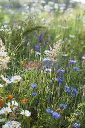 Eco-Hotel-Spa Yves Rocher La Gree des Landes - Madame Figaro 1558