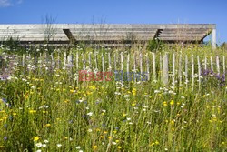 Eco-Hotel-Spa Yves Rocher La Gree des Landes - Madame Figaro 1558