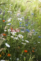 Eco-Hotel-Spa Yves Rocher La Gree des Landes - Madame Figaro 1558