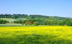 Dolnośląskie MaBa