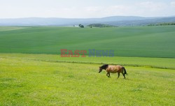 Dolnośląskie MaBa