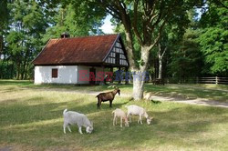 Warmia i Mazury Marek Bazak