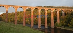 arch stock 2