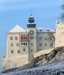 Polska Monk