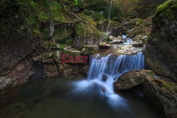 PIENINSKI PARK NARODOWY AdLa