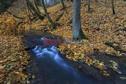 OJCOWSKI PARK NARODOWY AdLa