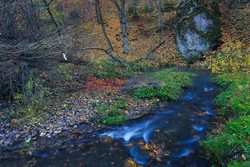 OJCOWSKI PARK NARODOWY AdLa