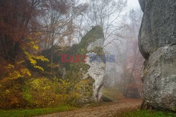 OJCOWSKI PARK NARODOWY AdLa