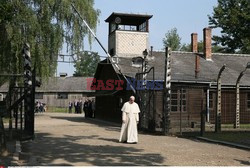 ŚDM 2016 - Auschwitz-Birkenau