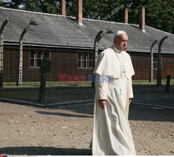 ŚDM 2016 - Auschwitz-Birkenau