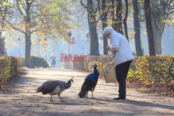 WARSZAWA AdLa