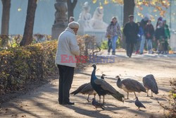 WARSZAWA AdLa