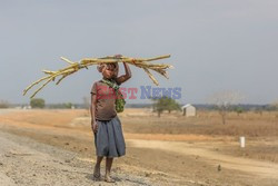 Życie codzienne w Tanzanii - ABACA