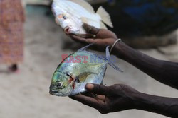 Senegal - magia Cap Skirring