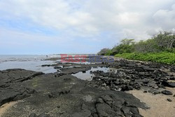 Hawaje - Plaże Big Island