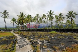 Hawaje - Plaże Big Island