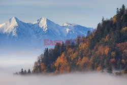 PIENINY AdLa