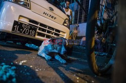 Zabłąkane psy w Yangon - AFP