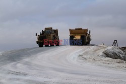 Namibia - wraki i foki z Wybrzeża Szkieletowego