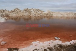 Namibia - wraki i foki z Wybrzeża Szkieletowego