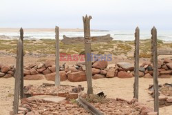 Namibia - wraki i foki z Wybrzeża Szkieletowego