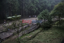 Park narodowy Alishan - Sipa