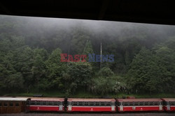 Park narodowy Alishan - Sipa