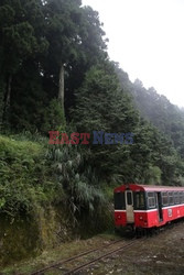 Park narodowy Alishan - Sipa