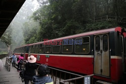 Park narodowy Alishan - Sipa