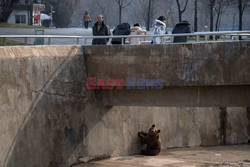 Życie codzienne w Pjongjang - AFP