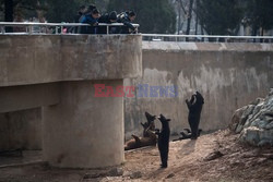 Życie codzienne w Pjongjang - AFP