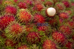 Tajlandzki rambutan - Redux