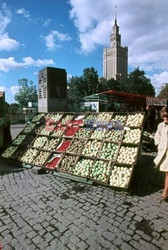 Warszawa wczoraj i dziś