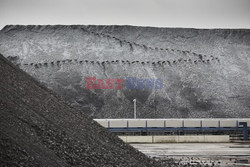 Holenderski przemysł - Hollandse Hoogte