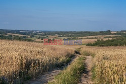 Lubelskie Arkadiusz Ziółek