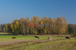 Mazowieckie Arkadiusz Ziółek