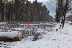 Mazowieckie Arkadiusz Ziółek