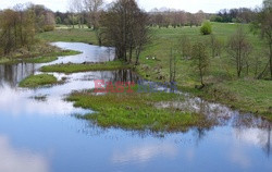 Podlasie Marek Bazak