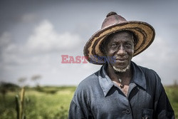 Produkcja żywności w Senegalu - Redux