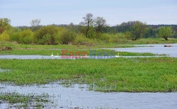 Podlasie Marek Bazak