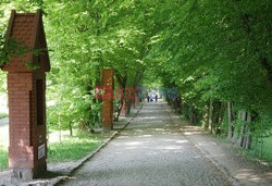 Warmia i Mazury Marek Bazak