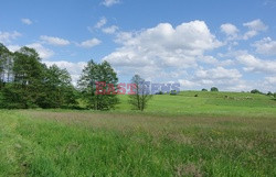 Warmia i Mazury Marek Bazak