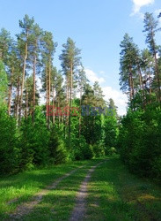 Warmia i Mazury Marek Bazak