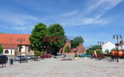 Warmia i Mazury Marek Bazak