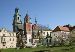 Małopolska Monk