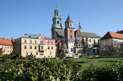 Małopolska Monk